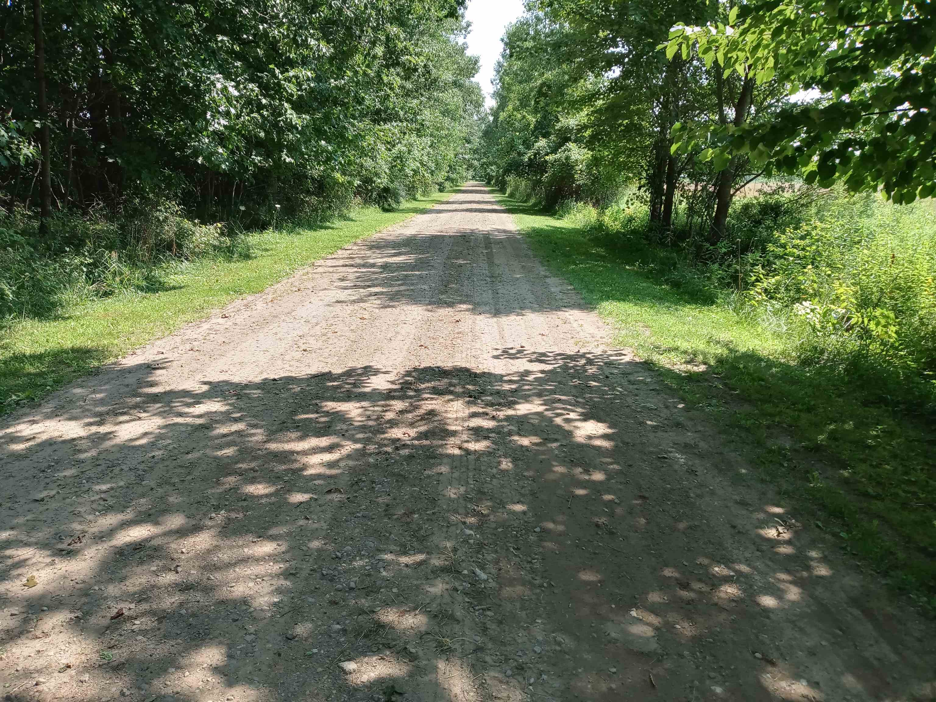 7344 Wilson Road Montrose, MI 48457 - Photo 62 of 68 50153425-acb86492-9719-46f6-aac7-b788043fa358.JPG