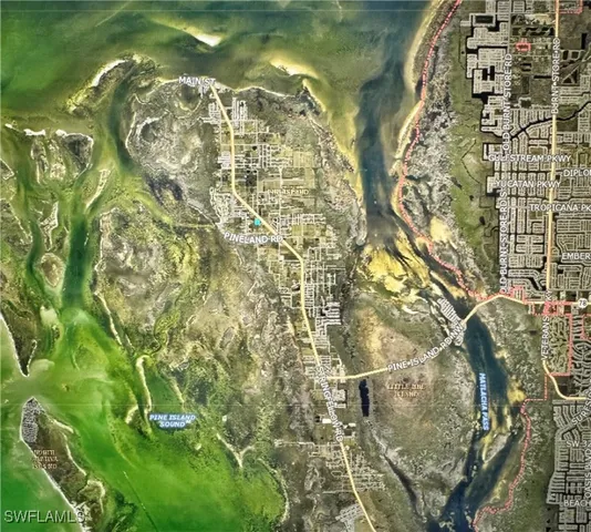 a view of a yard and a tree