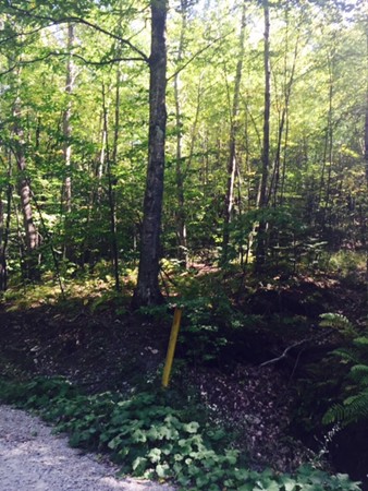 Lot 3 Orange Road Northfield, MA 01360 - Photo 1 of 7 Gallery Image 1