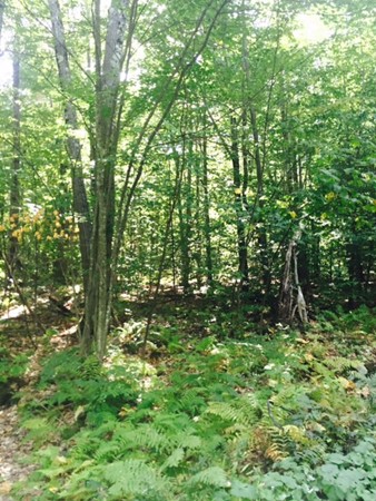Lot 3 Orange Road Northfield, MA 01360 - Photo 3 of 7 Gallery Image 3