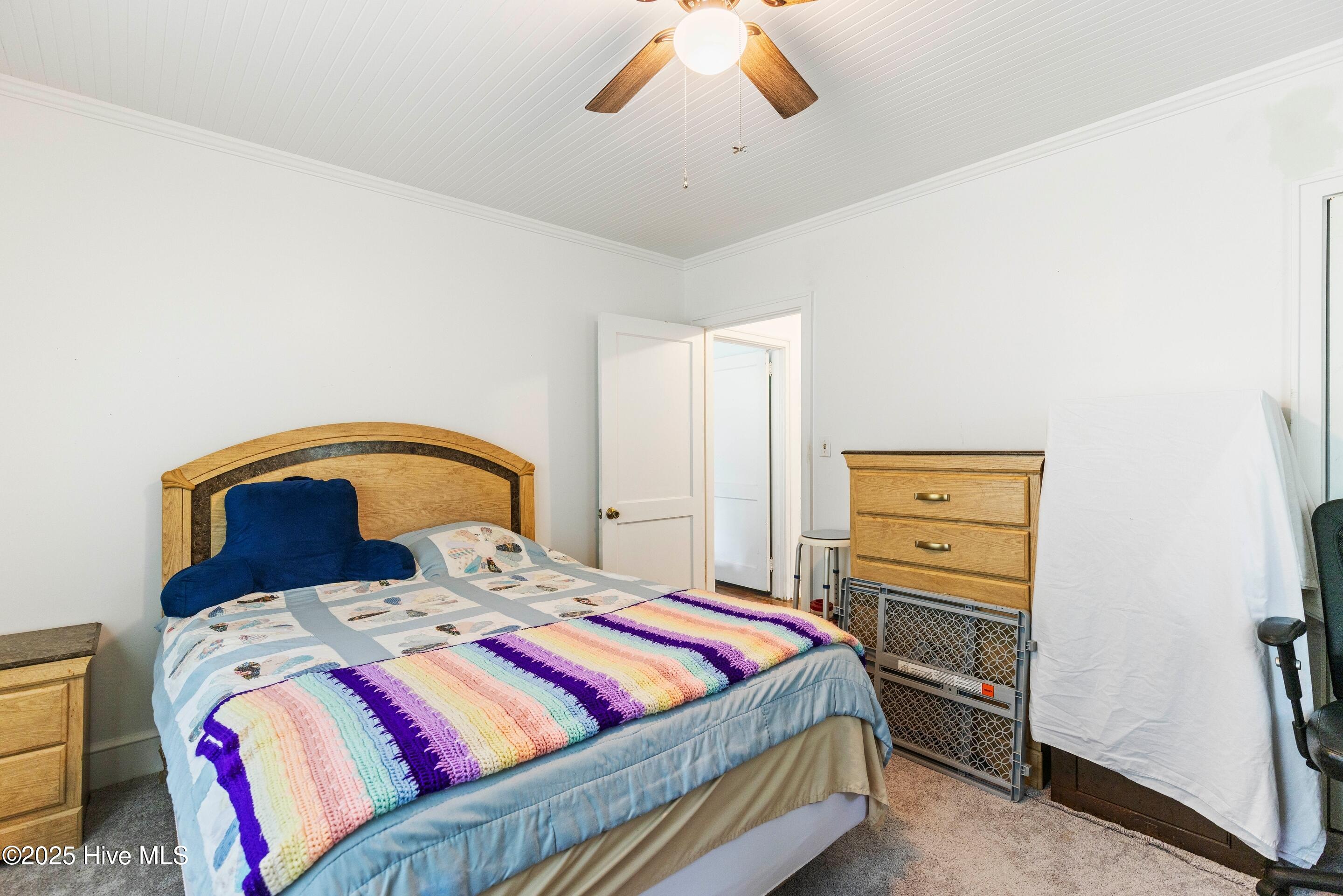 617 Merritt Road Chadbourn, NC 28431 - Photo 34 of 52 Master BR 2