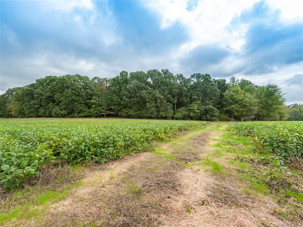 4 State Line Road Marshville, NC 28103 - Photo 4 of 8 Gallery Image 4