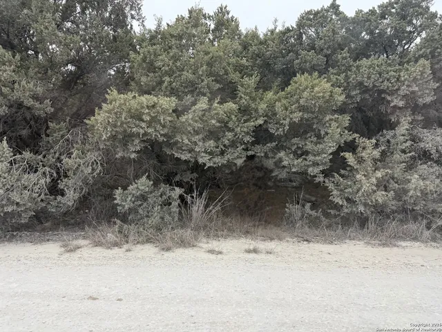 a view of a yard with snow