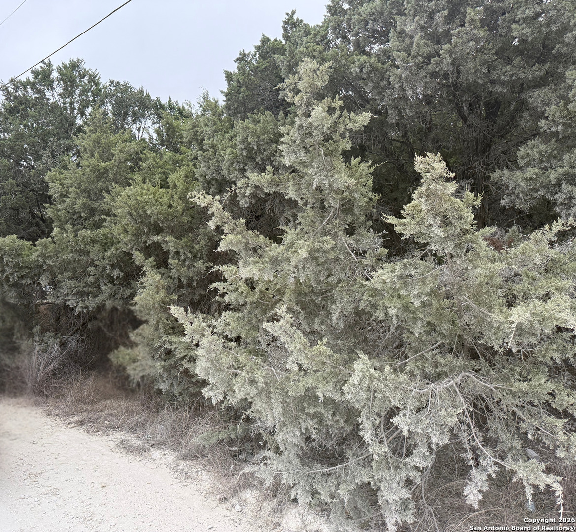 1372 Laguna Drive Spring Branch, TX 78070 - Photo 2 of 4