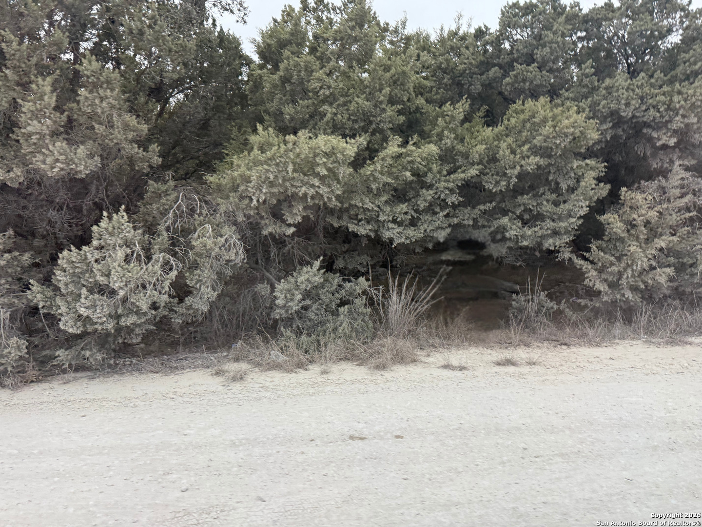 1372 Laguna Drive Spring Branch, TX 78070 - Photo 3 of 4