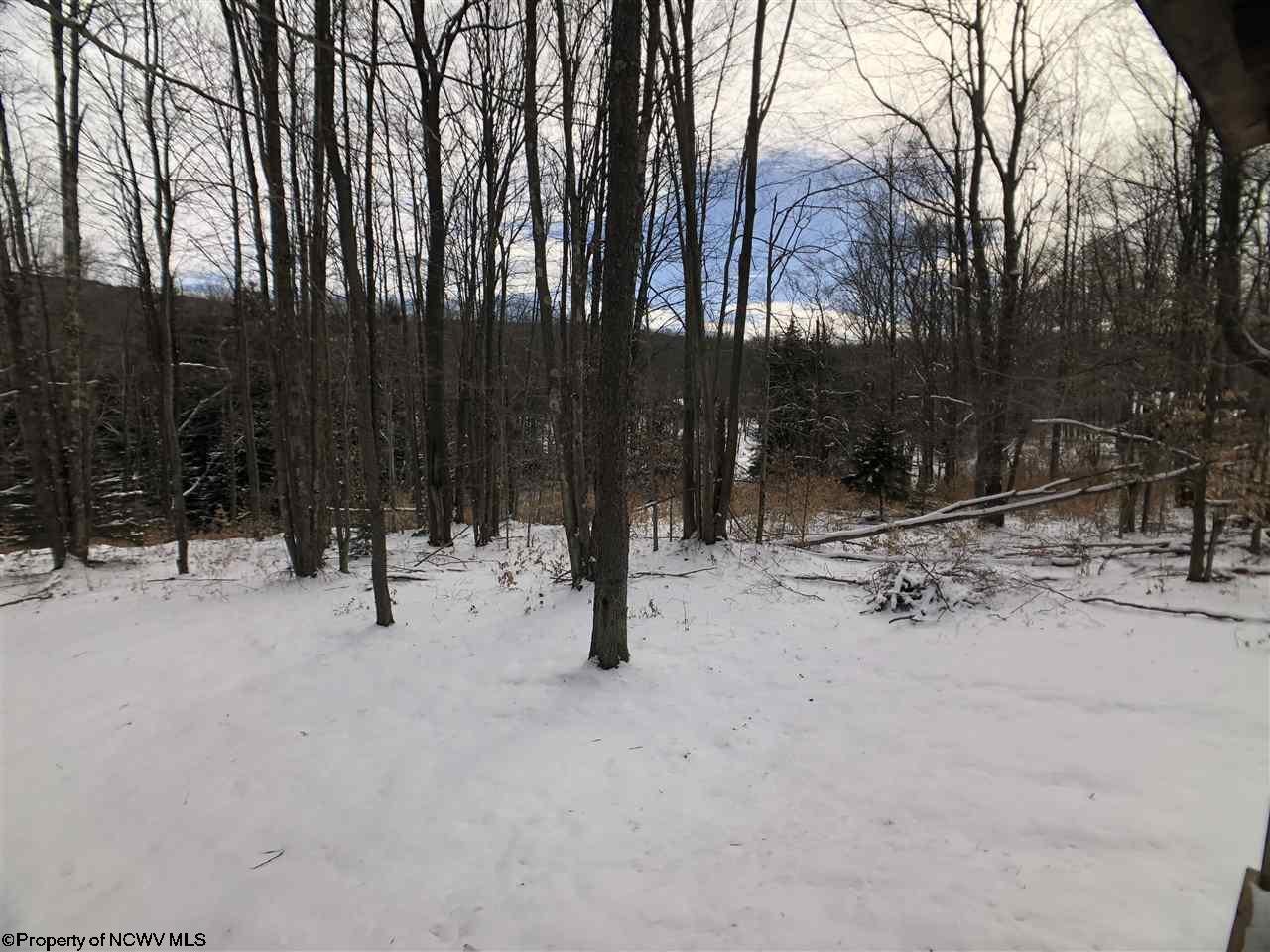 1026 Lakeview Road Davis, WV 26260 - Photo 18 of 20 Gallery Image 18