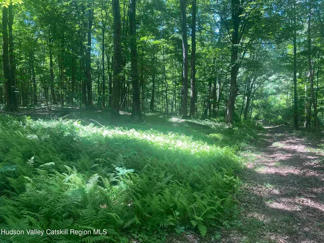 $1,450,000 | 234 West Market Street, Red Hook, NY 12571