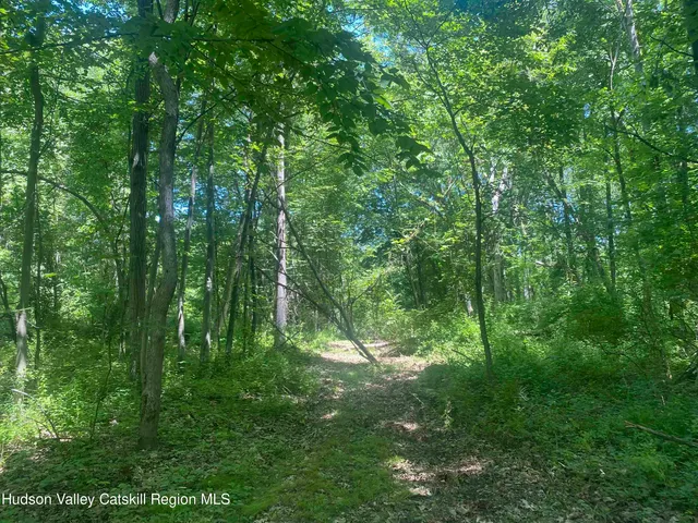 $1,450,000 | 234 West Market Street, Red Hook, NY 12571