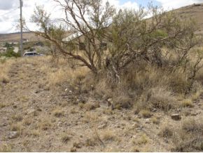 4760 East Amber Road Prescott, AZ 86301 - Photo 5 of 11 Additional Photo
