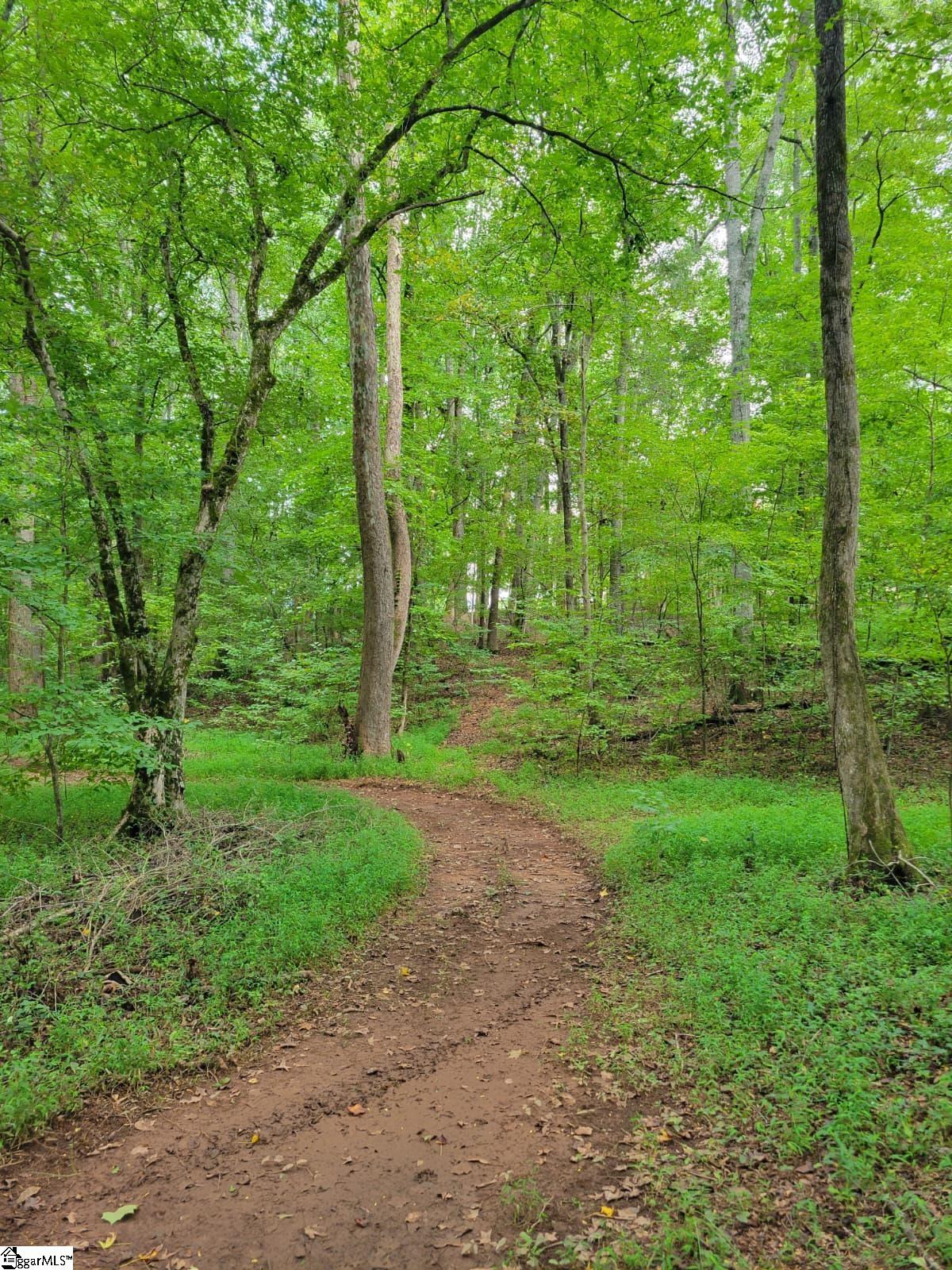 557 State Rd S-39-204 Liberty, SC 29657 - Photo 45 of 50