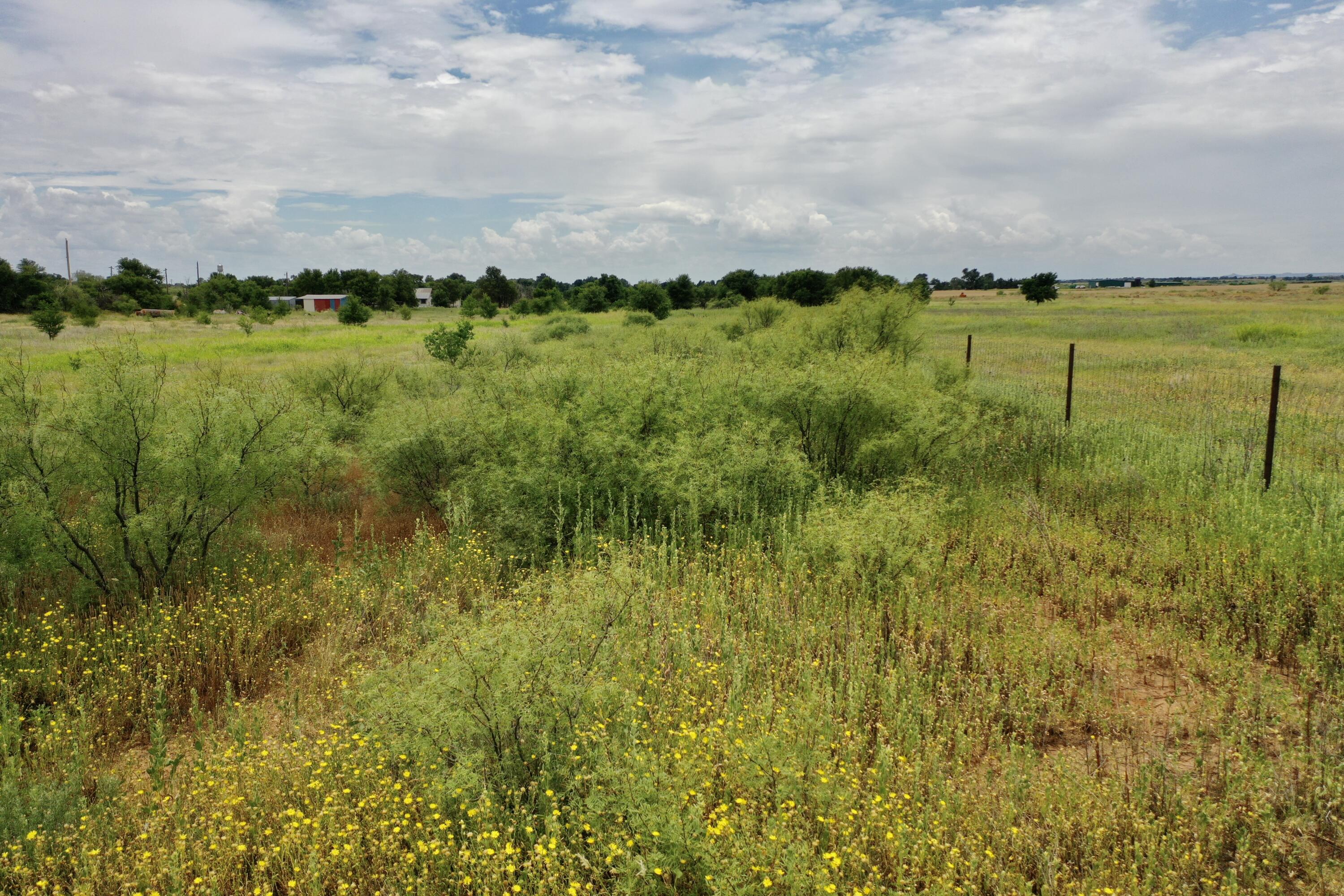 907 Co Road Turkey, TX 79261 - Photo 16 of 24 a view of a big yard with a large trees