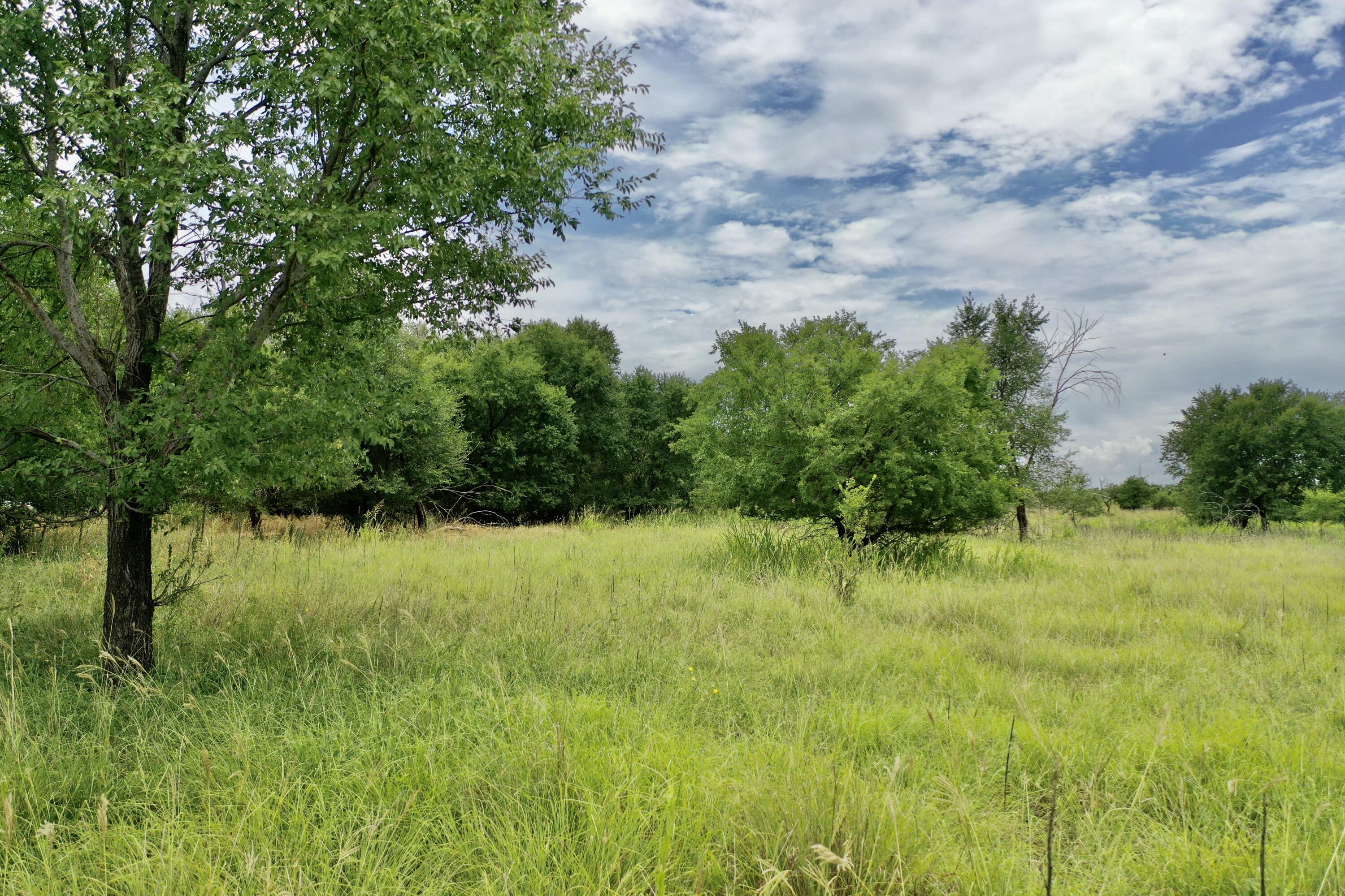 907 Co Road Turkey, TX 79261 - Photo 4 of 24 a view of outdoor space and yard