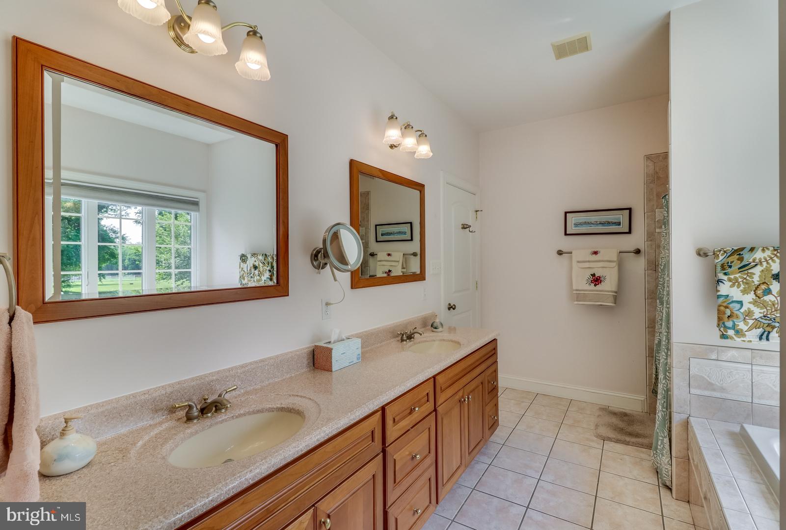 19 Wrays Way Rising Sun, MD 21911 - Photo 19 of 42 Mastr Bath