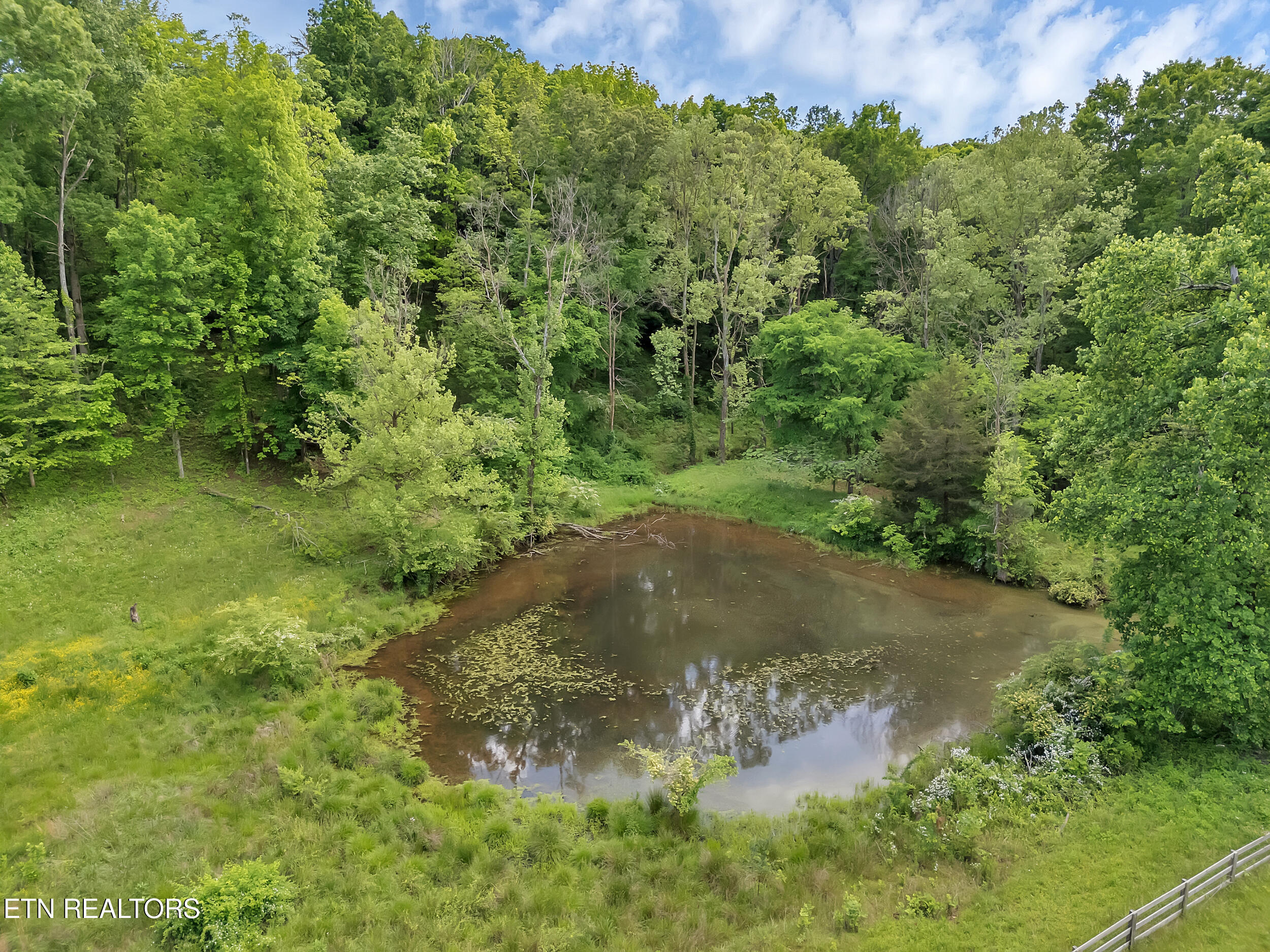 Marble Hill Road Friendsville, TN 37737 - Photo 17 of 25 13