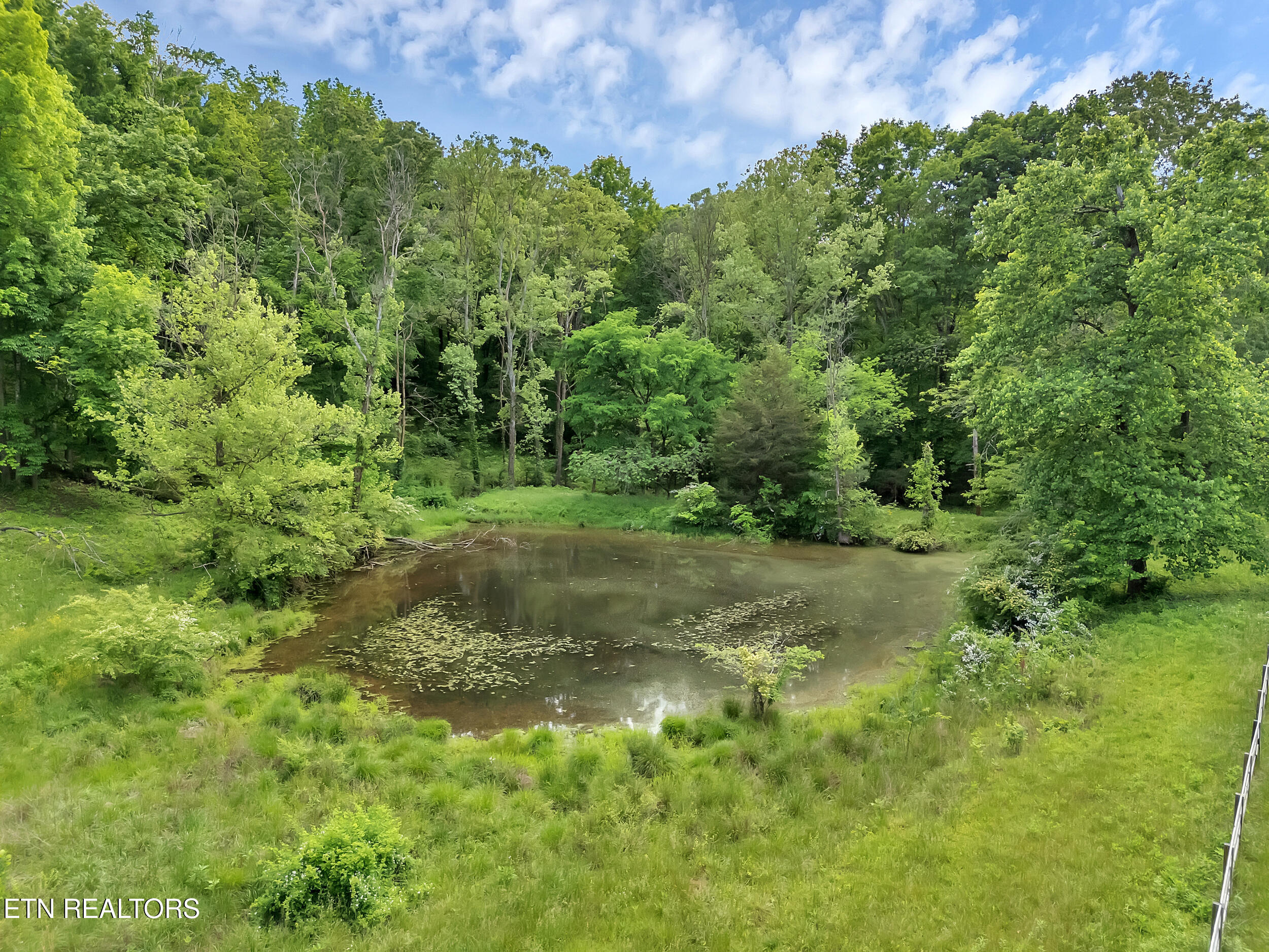 Marble Hill Road Friendsville, TN 37737 - Photo 18 of 25 14