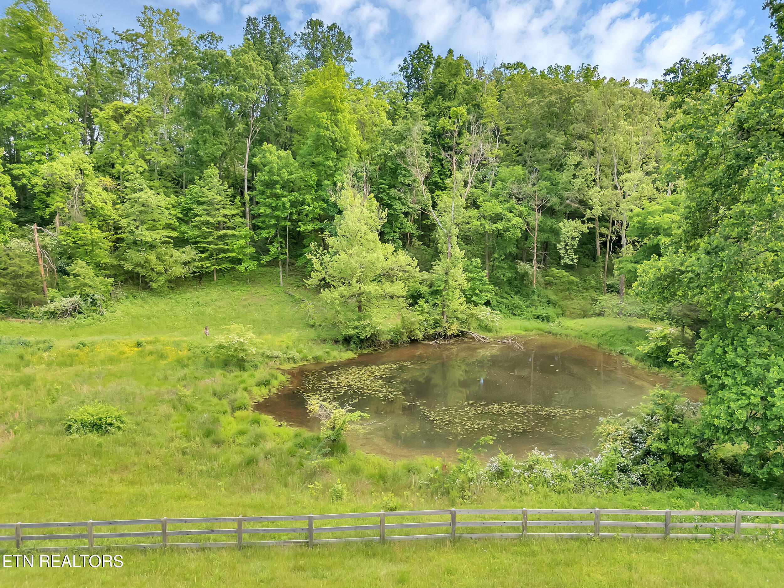 Marble Hill Road Friendsville, TN 37737 - Photo 19 of 25 15