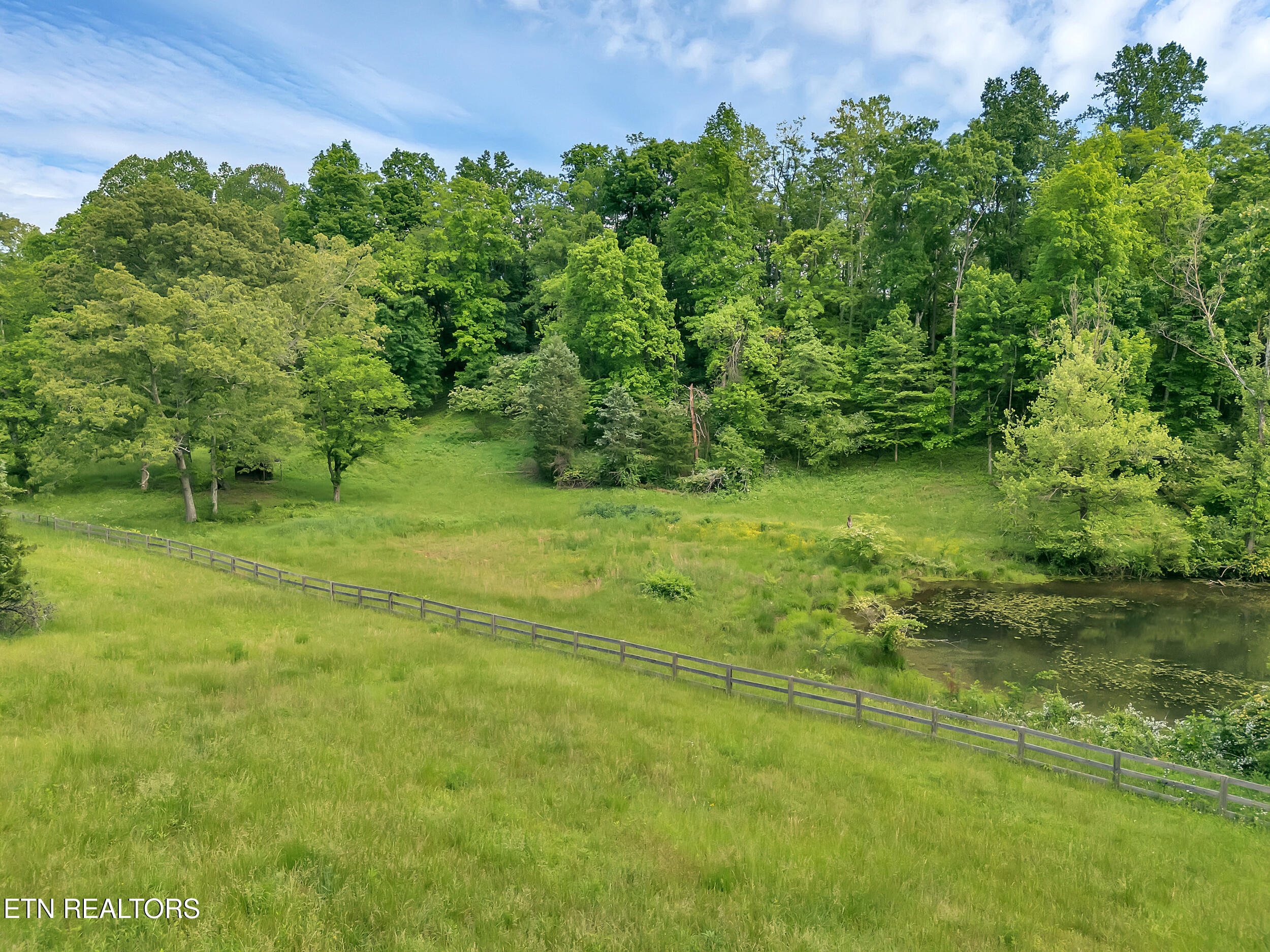 Marble Hill Road Friendsville, TN 37737 - Photo 3 of 25 16