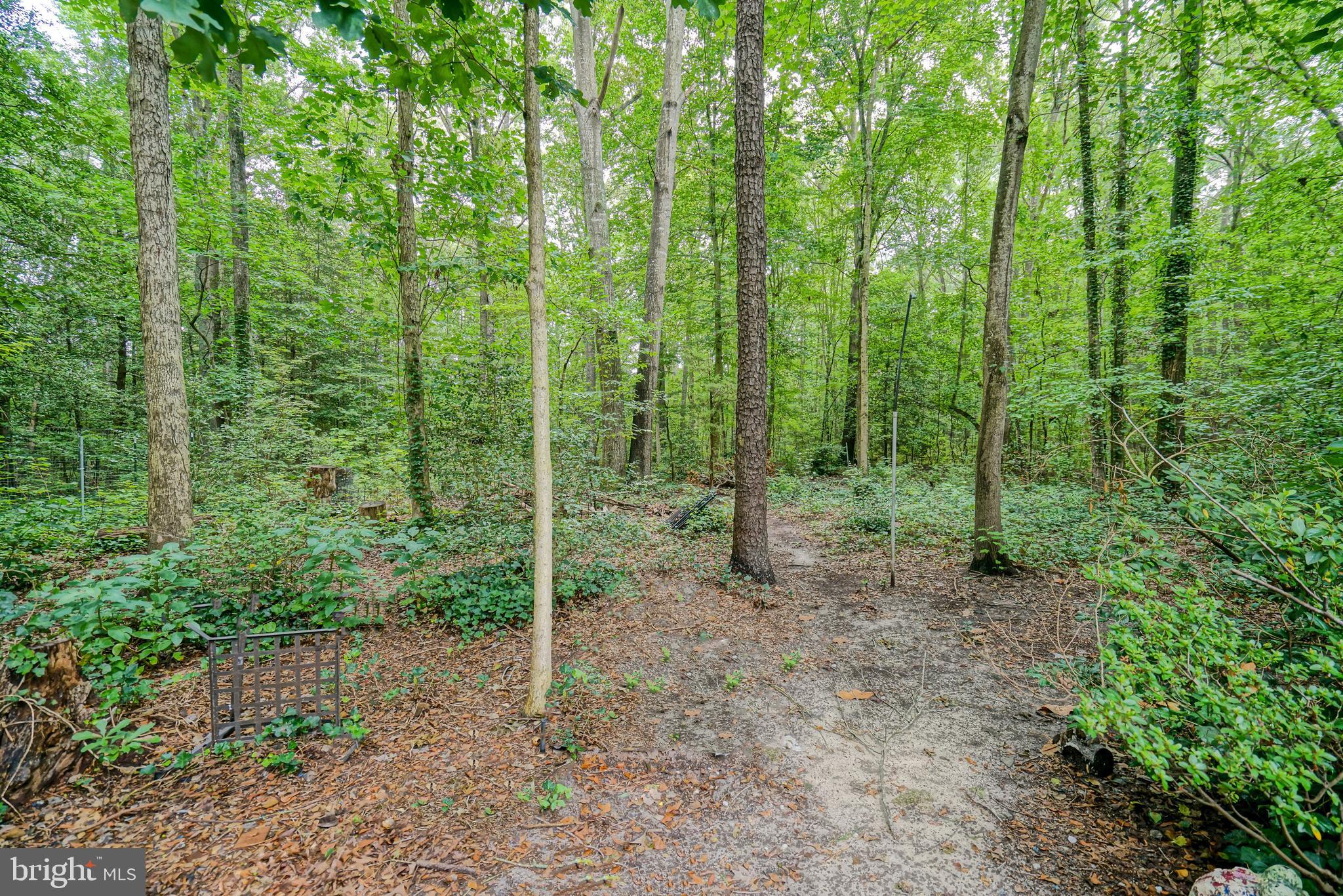 23 Snow Road Georgetown, DE 19947 - Photo 42 of 49