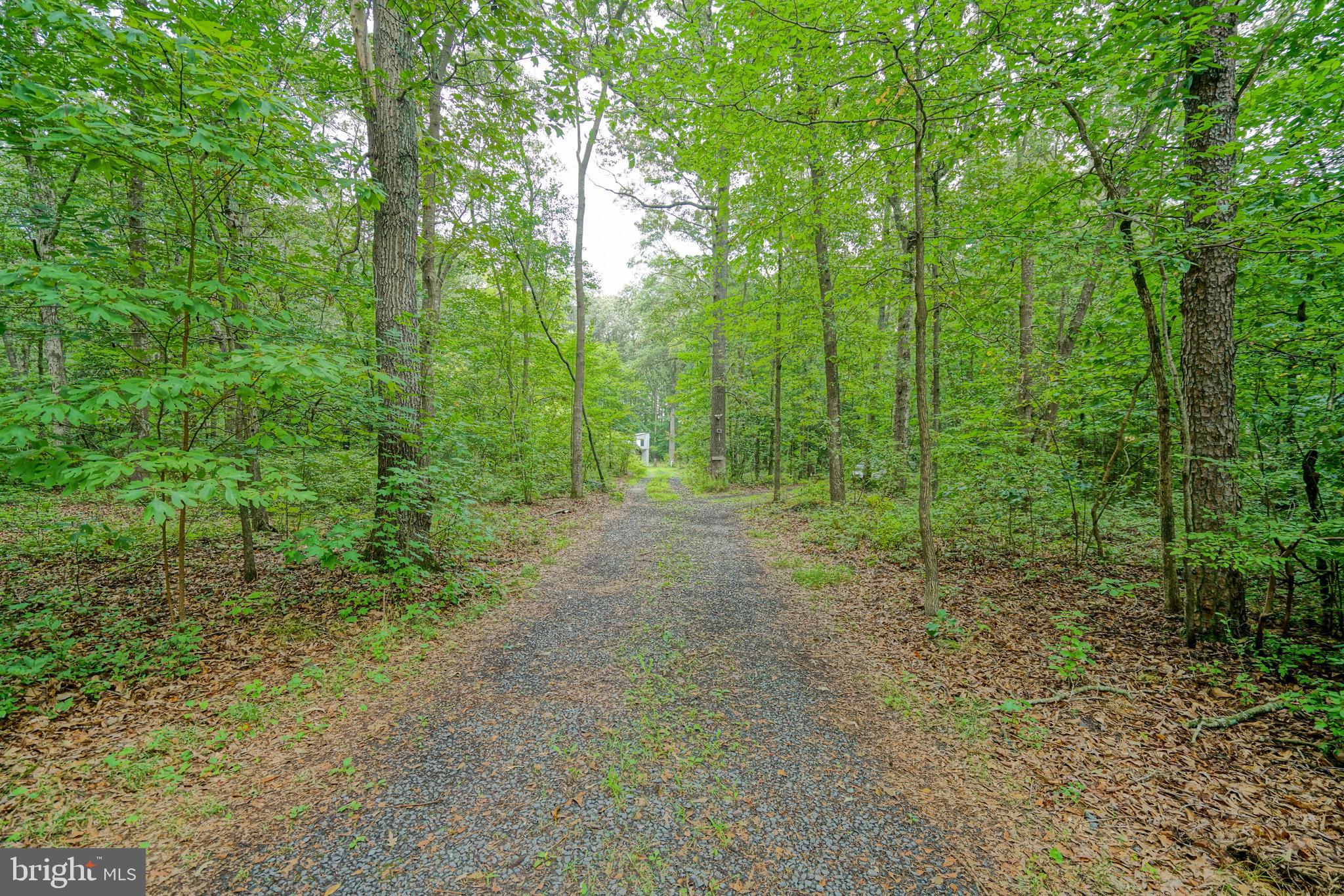 23 Snow Road Georgetown, DE 19947 - Photo 49 of 49