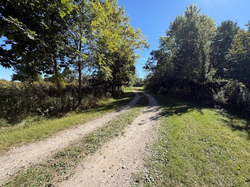 14207 200 East Road Fithian, IL 61844 - Photo 91 of 100 Gallery Image 91