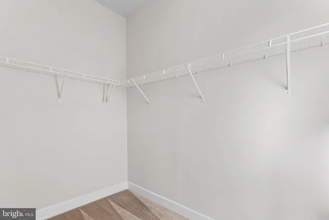 $2,900 | 207 Miles Hawk Terrace, Purcellville, VA 20132