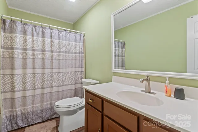 a bathroom with a sink a toilet and shower curtain