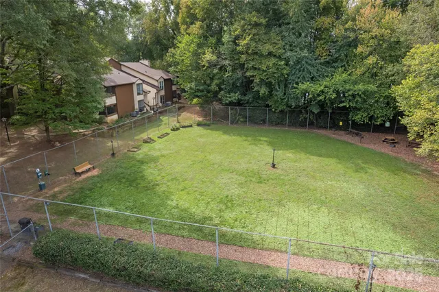 a view of a tree in a park