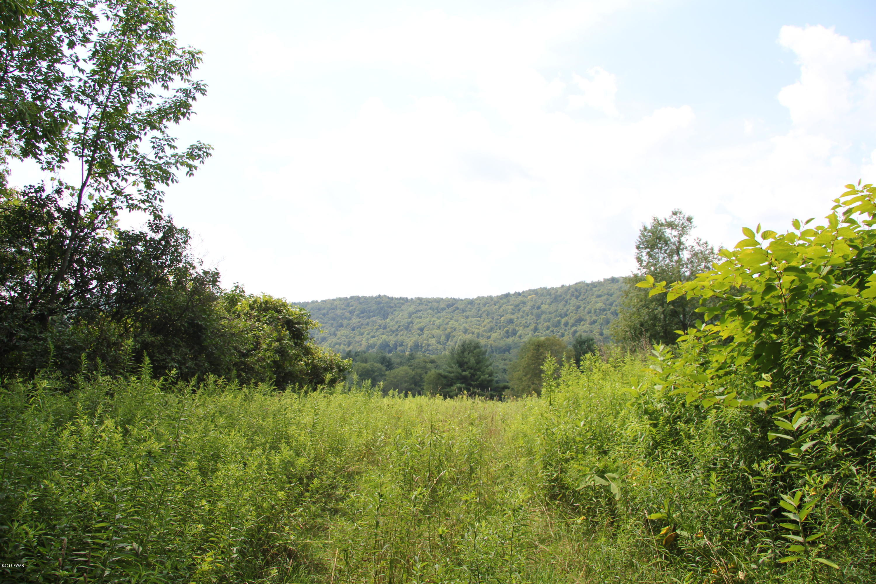 Winterdale Road Starlight, PA 18461 - Photo 7 of 14