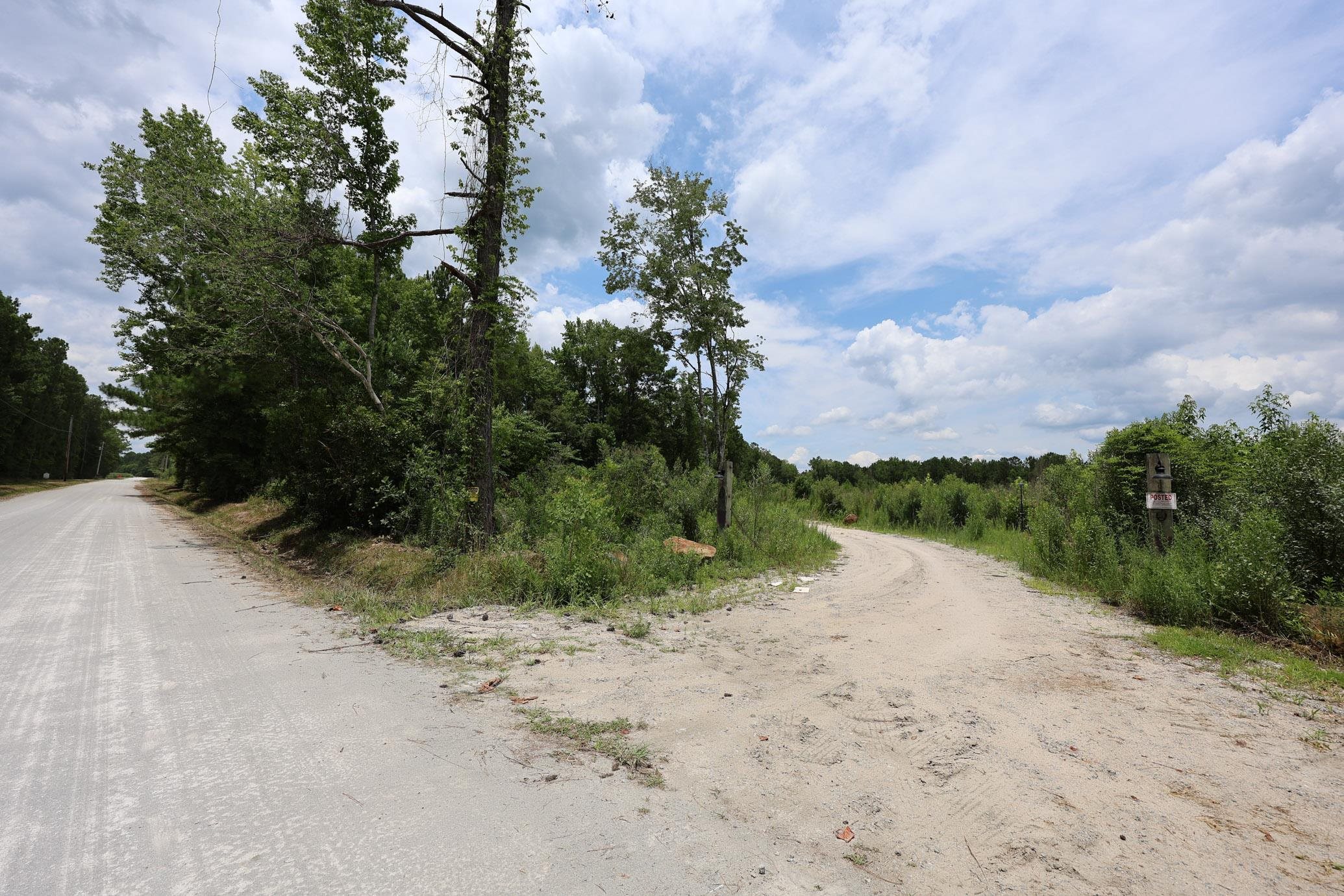 Lot A Fries Bay Road Loris, SC 29569 - Photo 4 of 9