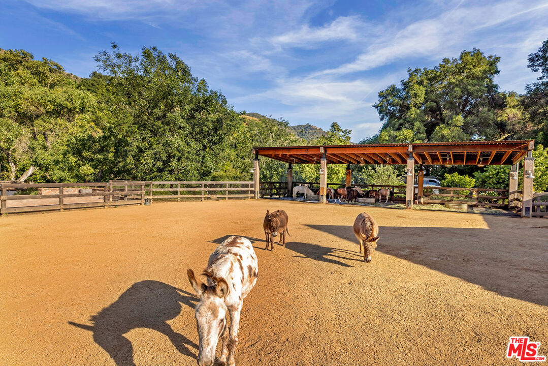 3099 Mandeville Canyon Road Los Angeles, CA 90049 - Photo 54 of 59