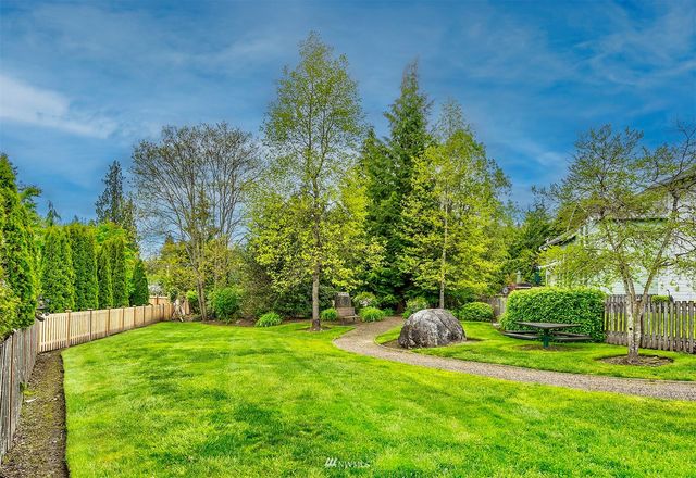 a view of a garden with plants and trees