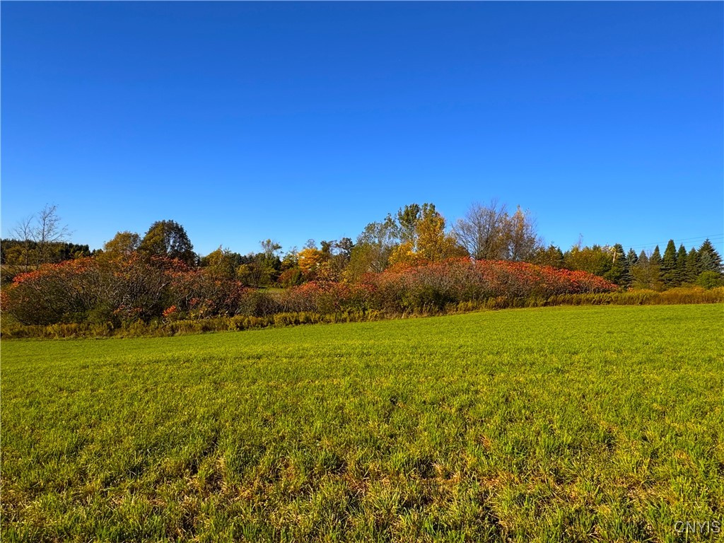 Graffenburg Road New Hartford, NY 13413 - Photo 15 of 29