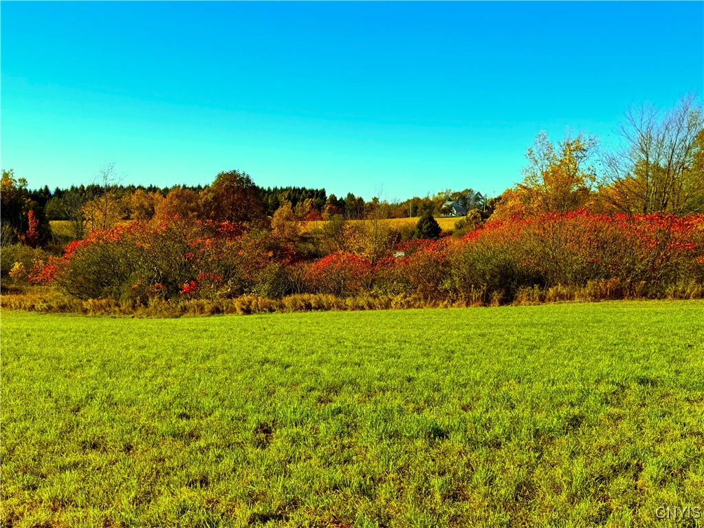 Graffenburg Road New Hartford, NY 13413 - Photo 18 of 29