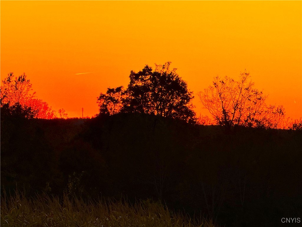 Graffenburg Road New Hartford, NY 13413 - Photo 20 of 29