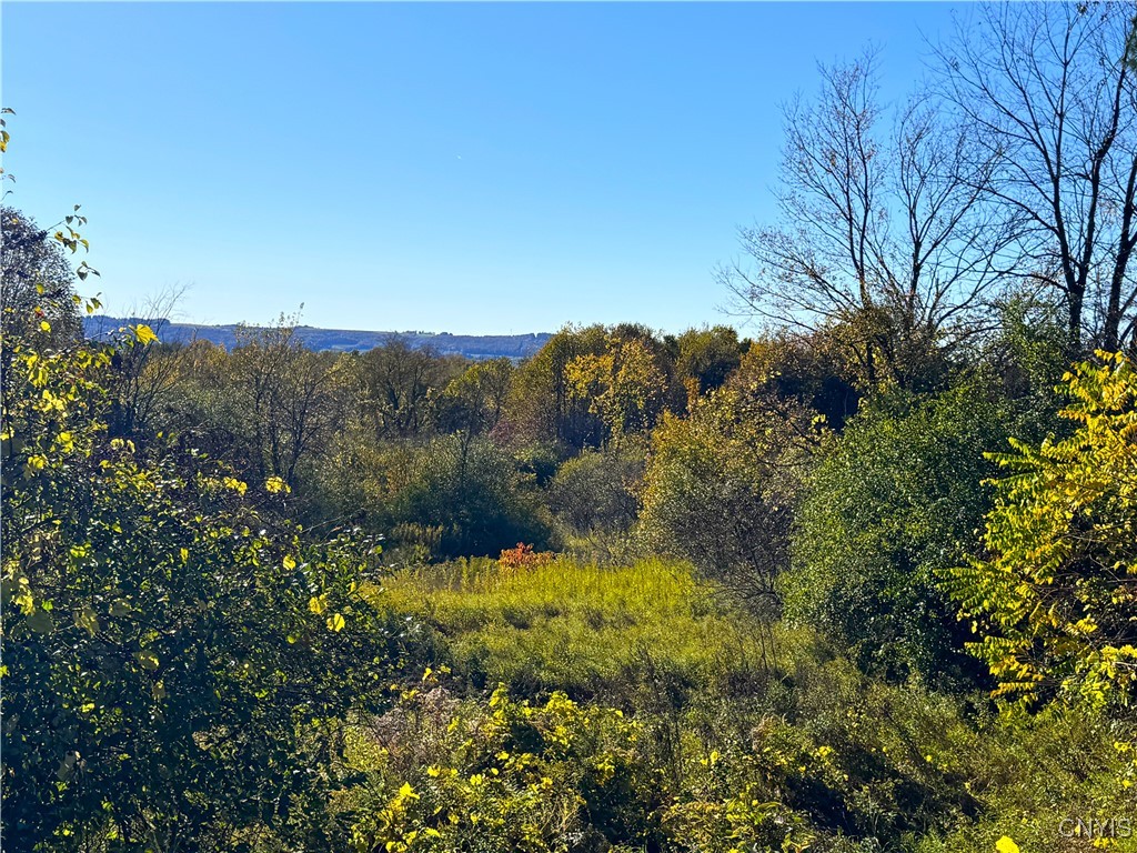 Graffenburg Road New Hartford, NY 13413 - Photo 21 of 29