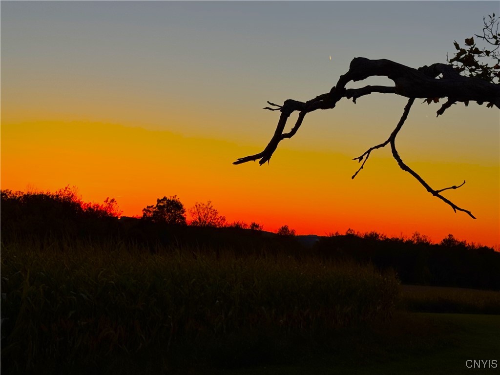 Graffenburg Road New Hartford, NY 13413 - Photo 23 of 29