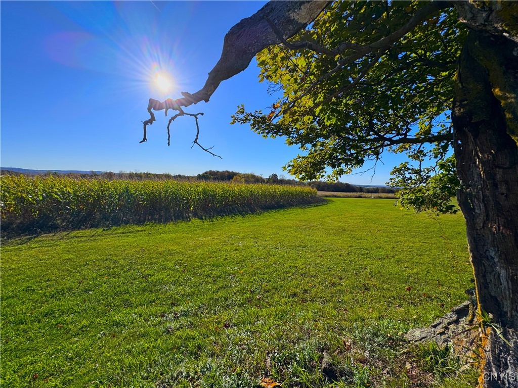 Graffenburg Road New Hartford, NY 13413 - Photo 24 of 29