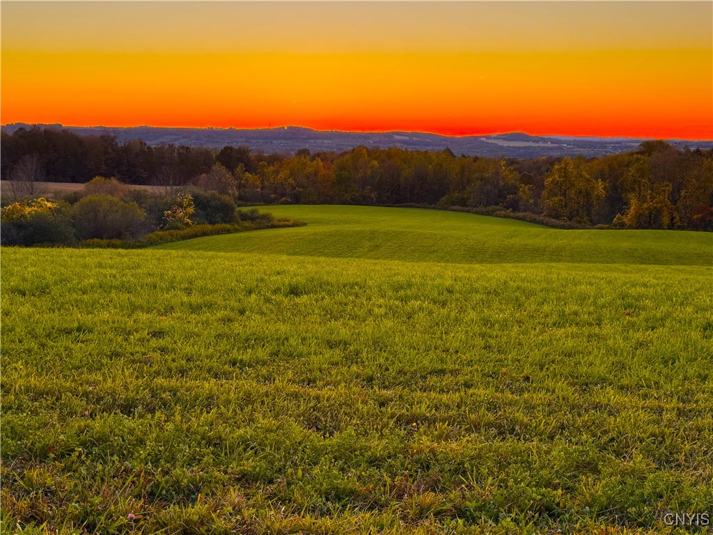 Graffenburg Road New Hartford, NY 13413 - Photo 4 of 29