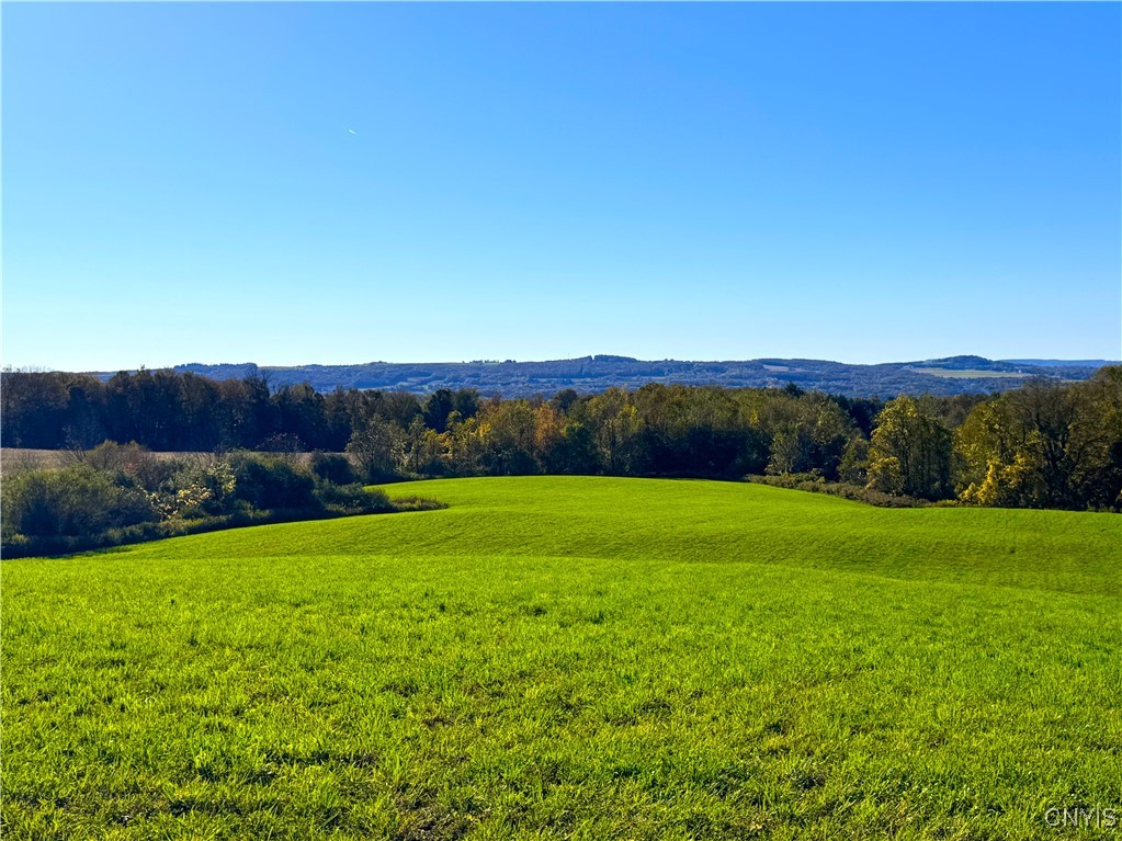 Graffenburg Road New Hartford, NY 13413 - Photo 5 of 29