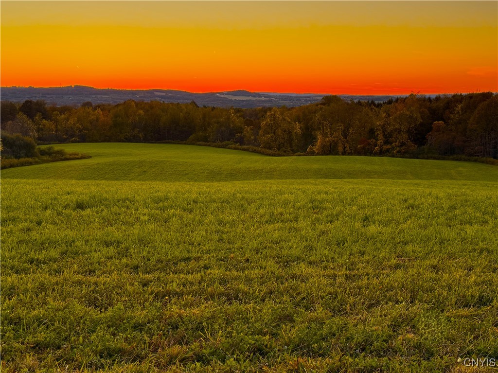 Graffenburg Road New Hartford, NY 13413 - Photo 7 of 29