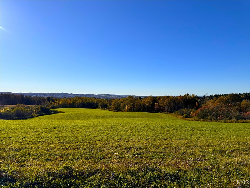 Graffenburg Road New Hartford, NY 13413 - Photo 9 of 29