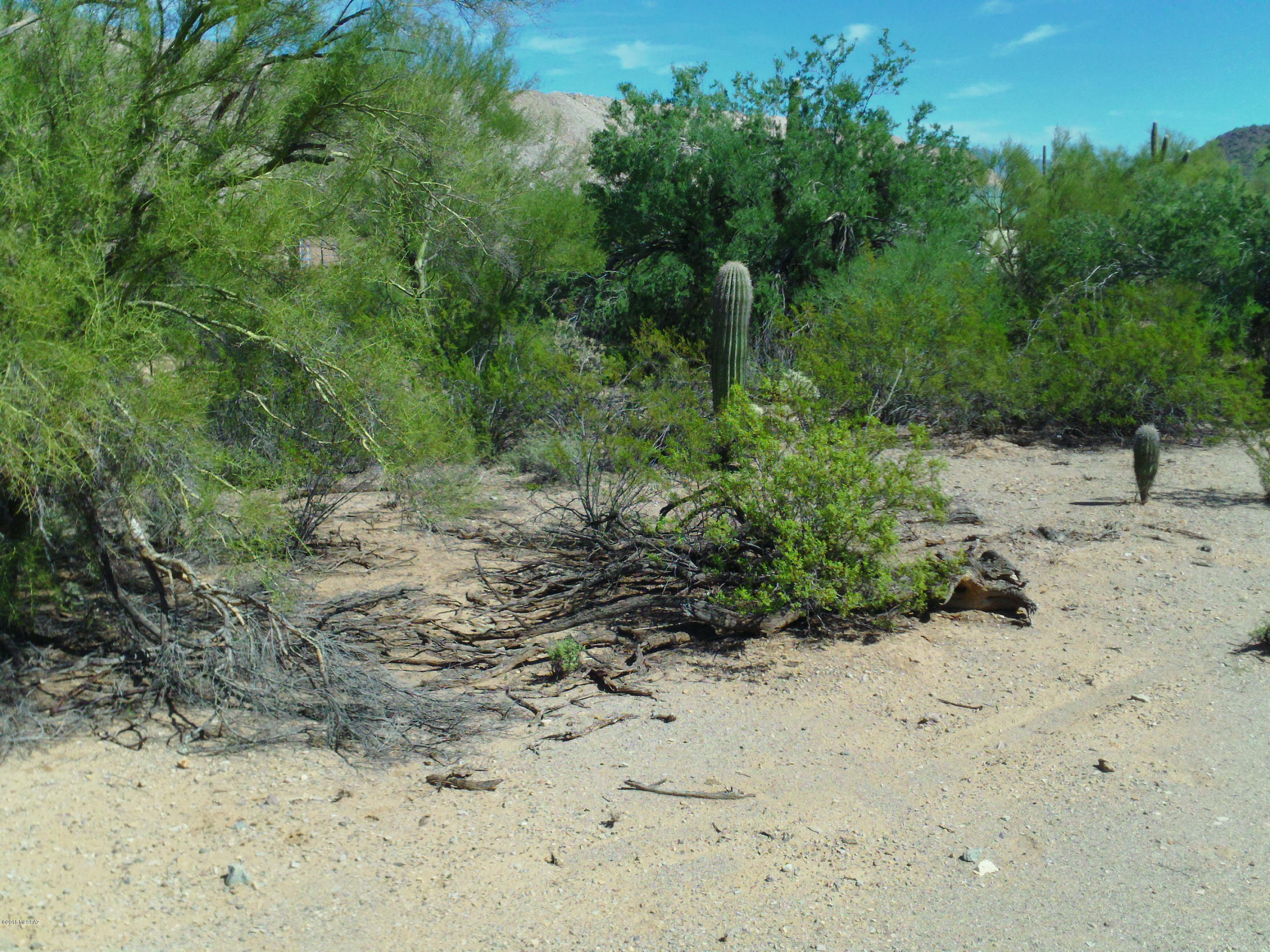 Massingale (roxy Rd) Road Tucson, AZ 85743 - Photo 4 of 11