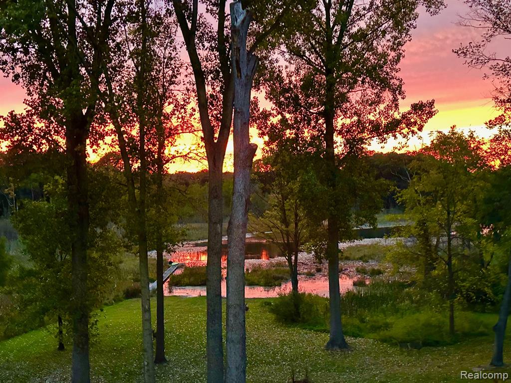 9955 Wiggins Road Howell, MI 48855 - Photo 18 of 57 Gallery Image 18