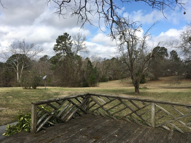 4753 Harlem Wrens Road Harlem, GA 30814 - Photo 38 of 46