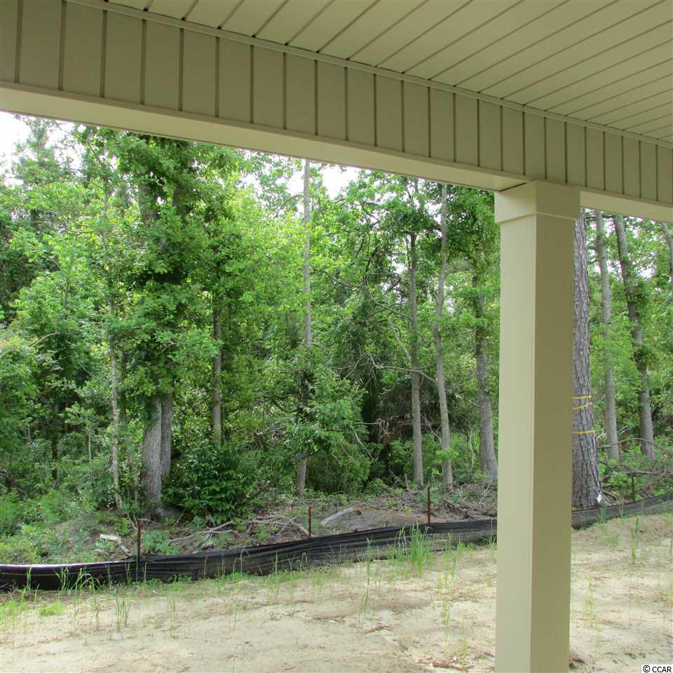 198 Hyacinth Loop Murrells Inlet, SC 29576 - Photo 18 of 21 Gallery Image 18