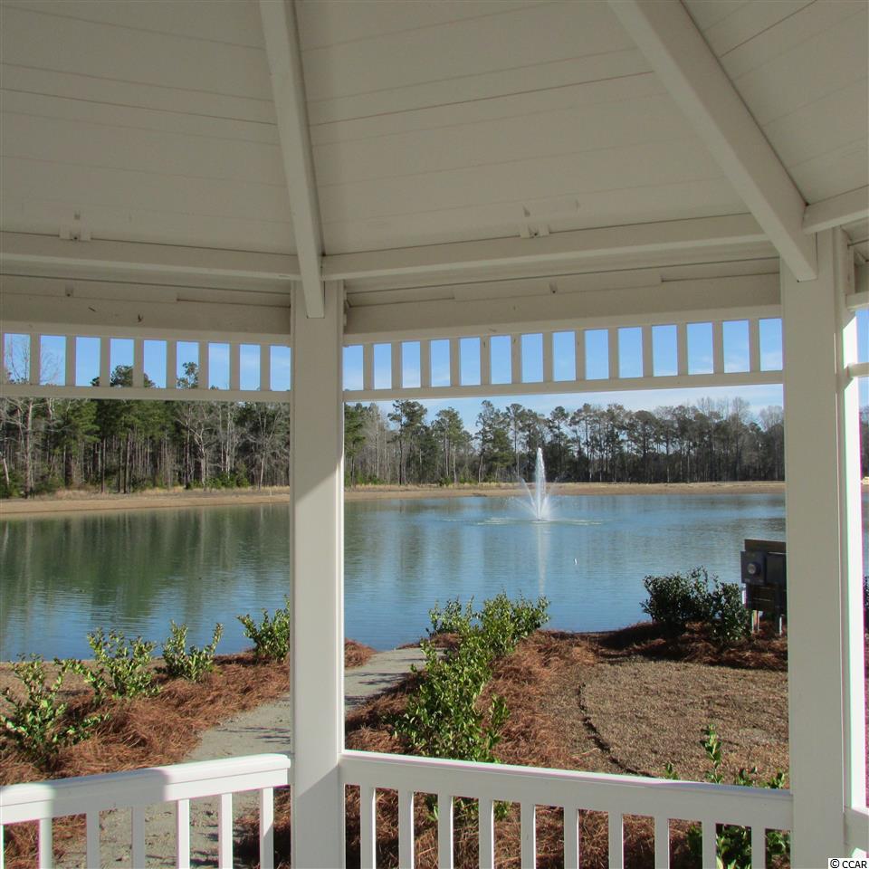 198 Hyacinth Loop Murrells Inlet, SC 29576 - Photo 21 of 21 Gallery Image 21