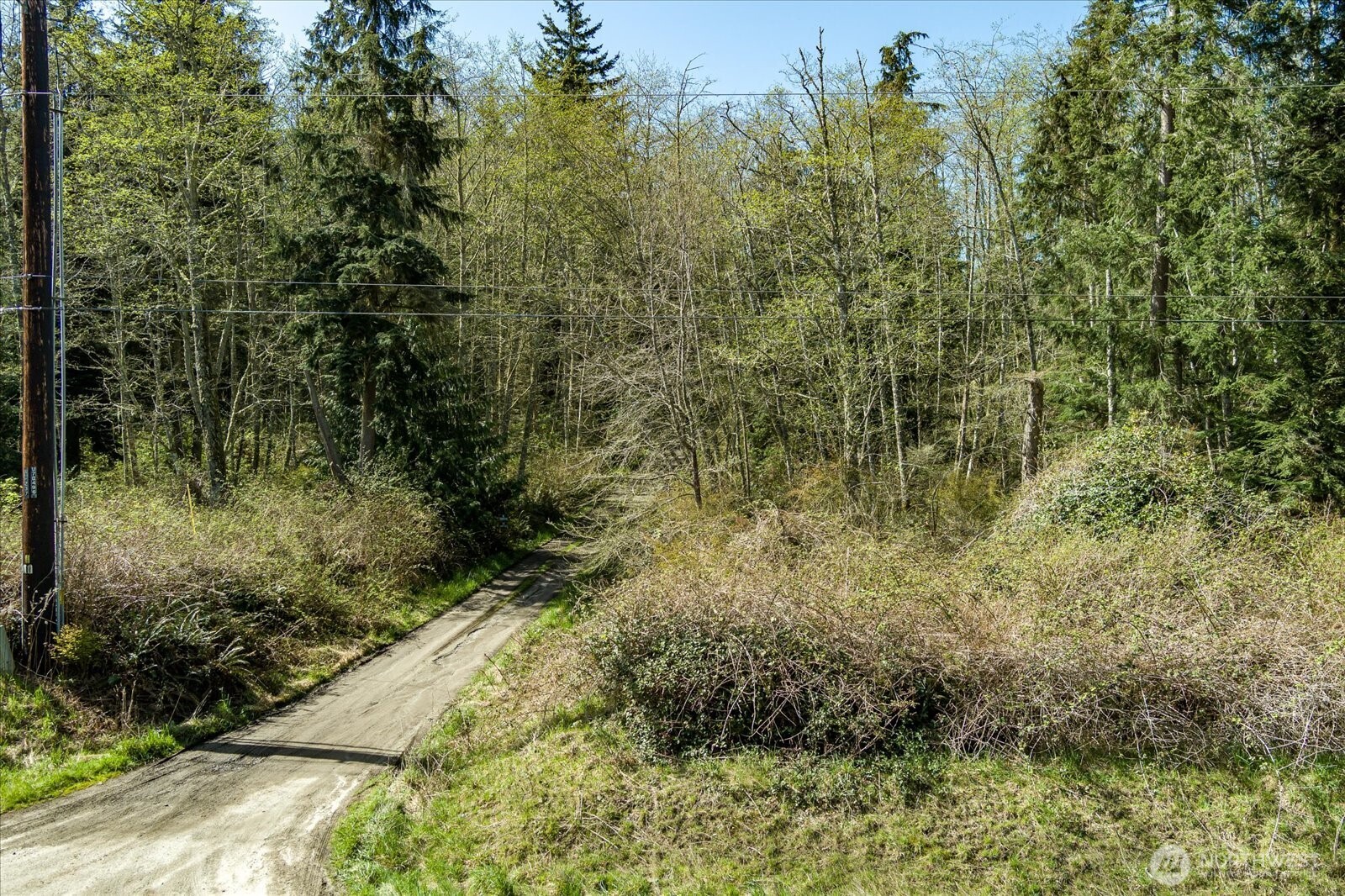 0 Forest View Lane Greenbank, WA 98253 - Photo 8 of 10