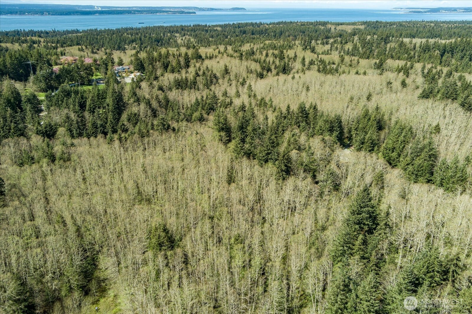 0 Forest View Lane Greenbank, WA 98253 - Photo 9 of 10