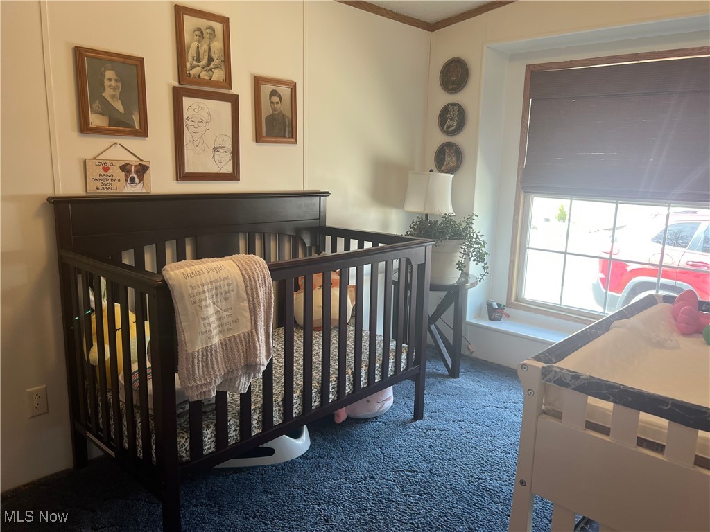 11079 Leader Road Chardon, OH 44024 - Photo 20 of 24 Gallery Image 20