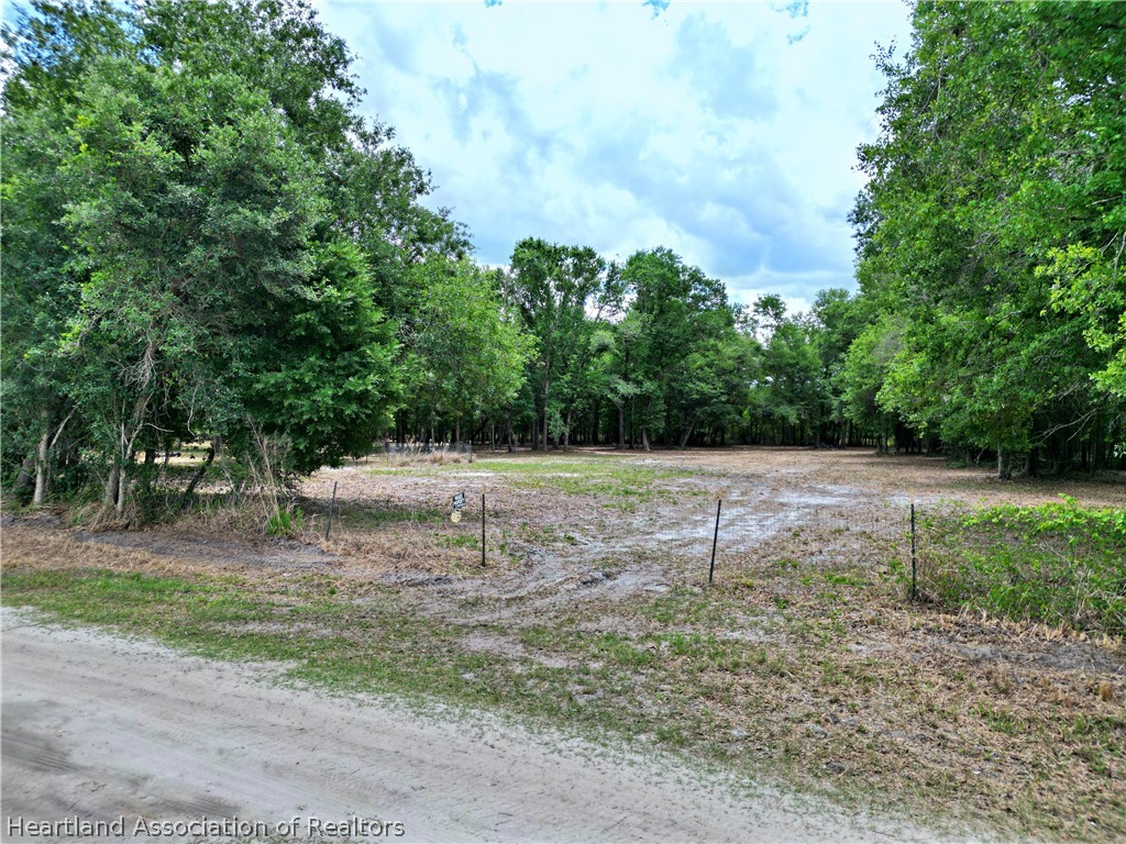 2032 Gilliard Farm Road Wauchula, FL 33873 - Photo 1 of 13